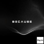 cover: Noizesplitter - Because