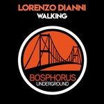 cover: Lorenzo Dianni - Walking