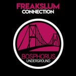 cover: Freakslum - Connection