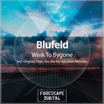 cover: Blufeld - Wink To Bygone