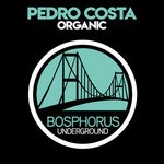 cover: Pedro Costa - Organic