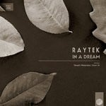 cover: Raytek - In A Dream