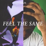 cover: Salute - Feel The Same