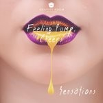 cover: Cheers|Feeling Pump - Sensations