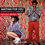 cover: Goodluck & Dj Ganyani - Waiting For You