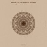 cover: Nir Yooz - The Last Mammoth/Blooming