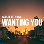 cover: Kajis|Ylona - Wanting You