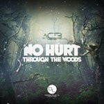 cover: Ac13 - No Hurt/Through The Woods