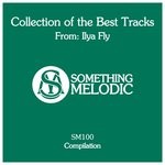 cover: Ilya Fly - Collection Of The Best Tracks From/Ilya Fly