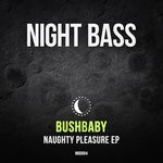 cover: Bushbaby - Naughty Pleasure