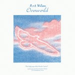 cover: A.r.t. Wilson - Overworld