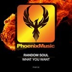 cover: Random Soul - What You Want