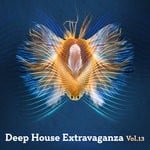 cover: Various - Deep House Extravaganza Vol 13