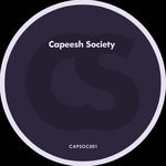 cover: Capeesh Society - Failure As A Friend