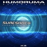 cover: Sureshock - Danger Zone