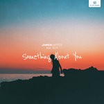 cover: James Carter|Bcs - Something About You