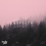 cover: Bruise Juice - Aspects EP