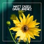 cover: David Jimenez|Matt Caseli - Can U Feel It