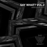 cover: Danny Wabbit|Janick Megroot|Maharti|Midmood|Nico Cabeza|Vasco Ug - Say What? Vol 2