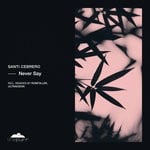 cover: Santi Cebrero - Never Say