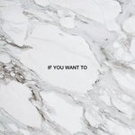 cover: Dimension - If You Want To