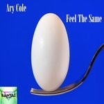 cover: Ary Cole - Feel The Same