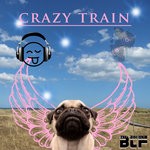 cover: Dj Tiny M - Crazy Train