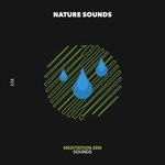 cover: Nature Sounds - Meditation Zen Sounds