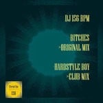 cover: Dj 156 Bpm - Bitches/Hardstyle Boy