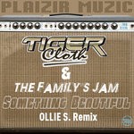 cover: Tiger Cloth|The Family's Jam|Filippo Perbellini - Something Beautiful