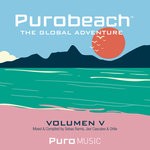 cover: Javi Cascales|Ohlle|Sebas Ramis|Various - Purobeach Vol  Cinco The Global Adventure