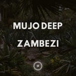 cover: Mujo Deep - Zambezi