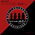 cover: Uri Mood - What's That Thing Called?