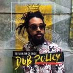 cover: Teflon Zincfence - Dub Policy