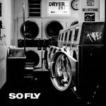 cover: Type3 - So Fly