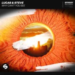 cover: Lucas & Steve - Why Can't You See