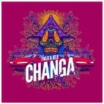 cover: Fwlr - Changa