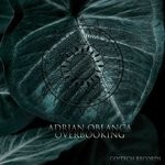 cover: Adrian Oblanca - Overbooking