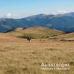 cover: Aussteiger - Meadows & Mountains