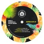 cover: Doorly & Colour Castle|Misingo - Jaspers Keys