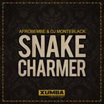 cover: Afro Bembe & Dj Monteblack - Snake Charmer