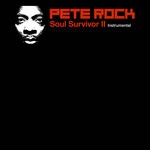 cover: Pete Rock - Soul Survivor II (Instrumental)