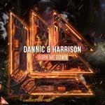 cover: Dannic & Harrison - Burn Me Down