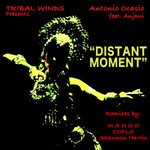 cover: Anjani|Antonio Ocasio - Distant Moment