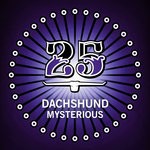 cover: Dachshund - Mysterious