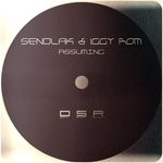 cover: Sendlak & Iggy Rom - Assuming