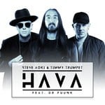 cover: Steve Aoki|Timmy Trumpet - Hava