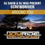 cover: Dj Sakin & Dj Wag|Screwdriver - Around You