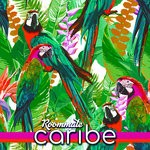 cover: Roommate - Caribe