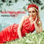 cover: Northern Angel - Perfection